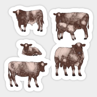 Shorthorn Cattle Pack Sticker